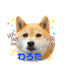 Tumuさんの日常④（個別スタンプ：30）