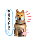 Tumuさんの日常④（個別スタンプ：31）
