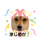 Tumuさんの日常④（個別スタンプ：35）