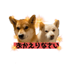 ひろしとみつこ（個別スタンプ：2）