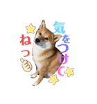 ひろしとみつこ（個別スタンプ：5）