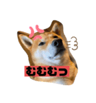 ひろしとみつこ（個別スタンプ：9）