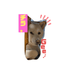 ひろしとみつこ（個別スタンプ：14）