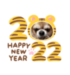 うちのてつです。年賀状虎（個別スタンプ：1）