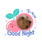 ふーちゃんスタンプだぜ（個別スタンプ：2）