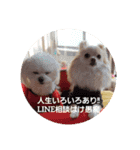 LUNA＆SEAです！！2022年今年もヨロシク！！（個別スタンプ：1）