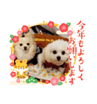 LUNA＆SEAです！！2022年今年もヨロシク！！（個別スタンプ：2）