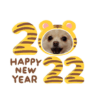 LUNA＆SEAです！！2022年今年もヨロシク！！（個別スタンプ：6）