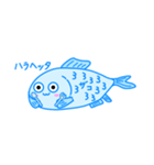 雑魚ちゃんアクアリウムスタンプ（個別スタンプ：36）