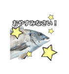 釣り人専用スタンプ挨拶編（個別スタンプ：2）