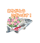釣り人専用スタンプ挨拶編（個別スタンプ：4）