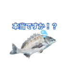 釣り人専用スタンプ挨拶編（個別スタンプ：5）