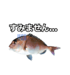 釣り人専用スタンプ挨拶編（個別スタンプ：8）