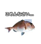 釣り人専用スタンプ挨拶編（個別スタンプ：9）