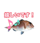 釣り人専用スタンプ挨拶編（個別スタンプ：10）