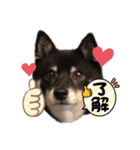 Tumuさんの日常 友達と一緒②（個別スタンプ：1）