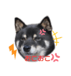 Tumuさんの日常 友達と一緒②（個別スタンプ：7）