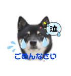 Tumuさんの日常 友達と一緒②（個別スタンプ：9）