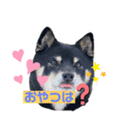 Tumuさんの日常 友達と一緒②（個別スタンプ：12）