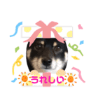 Tumuさんの日常 友達と一緒②（個別スタンプ：24）
