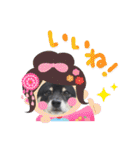 Tumuさんの日常 友達と一緒②（個別スタンプ：25）