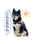 Tumuさんの日常 友達と一緒②（個別スタンプ：28）