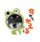 Tumuさんの日常 友達と一緒②（個別スタンプ：29）