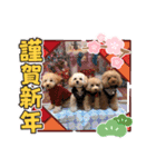 くぅ＆パール＆ふくのスタンプ（個別スタンプ：5）