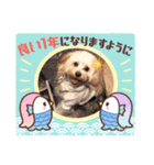 くぅ＆パール＆ふくのスタンプ（個別スタンプ：6）
