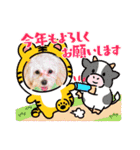 くぅ＆パール＆ふくのスタンプ（個別スタンプ：7）