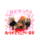 くぅ＆パール＆ふくのスタンプ（個別スタンプ：10）