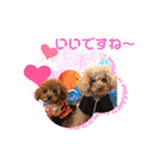 くぅ＆パール＆ふくのスタンプ（個別スタンプ：12）