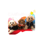 くぅ＆パール＆ふくのスタンプ（個別スタンプ：15）