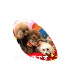 くぅ＆パール＆ふくのスタンプ（個別スタンプ：16）