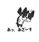 ボストンテリア吹き出しスタンプ（個別スタンプ：6）