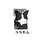 ボストンテリア吹き出しスタンプ（個別スタンプ：20）