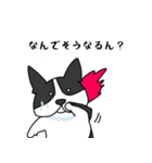 ボストンテリア吹き出しスタンプ（個別スタンプ：21）