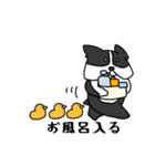 ボストンテリア吹き出しスタンプ（個別スタンプ：29）