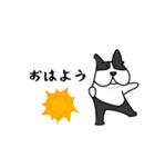 ボストンテリア吹き出しスタンプ（個別スタンプ：31）