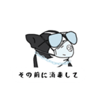ボストンテリア吹き出しスタンプ（個別スタンプ：34）