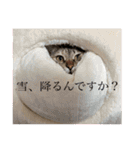 みるくしば（個別スタンプ：4）