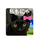 友達との会話用にゃ1月（個別スタンプ：2）