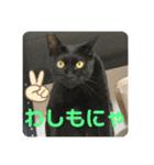 友達との会話用にゃ1月（個別スタンプ：8）