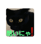 友達との会話用にゃ1月（個別スタンプ：15）