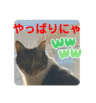 友達との会話用にゃ1月（個別スタンプ：19）