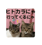 友達との会話用にゃ1月（個別スタンプ：22）