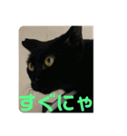 友達との会話用にゃ1月（個別スタンプ：27）