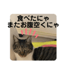 友達との会話用にゃ1月（個別スタンプ：29）