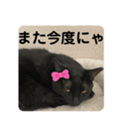 友達との会話用にゃ1月（個別スタンプ：30）