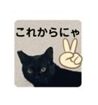 友達との会話用にゃ1月（個別スタンプ：32）